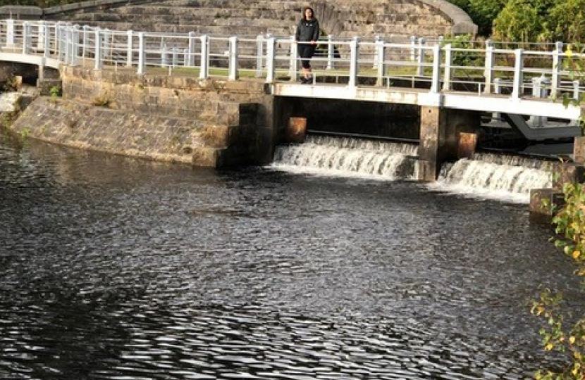 Milngavie's Waterparks